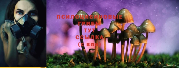 героин Алзамай