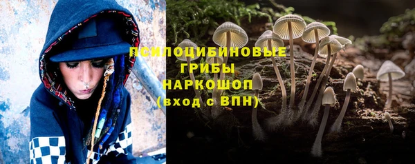 apvp Алексин