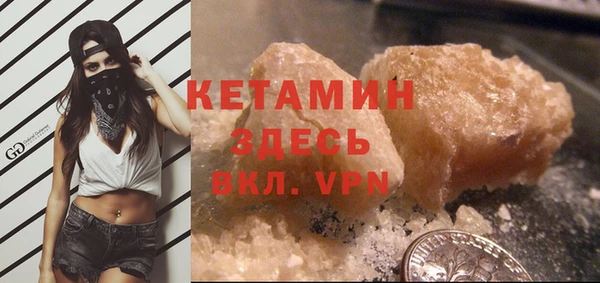 шишки Кодинск