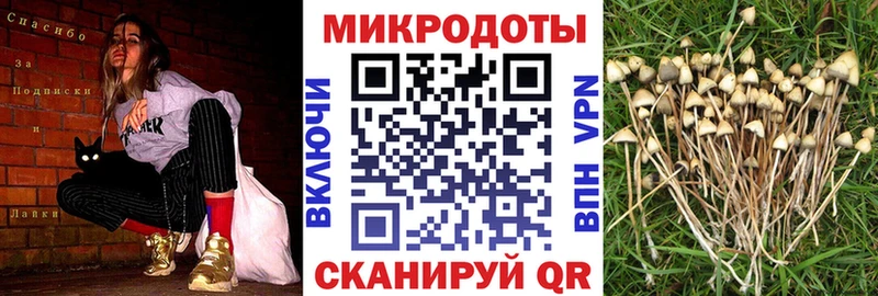 Галлюциногенные грибы ЛСД  купить   kraken вход  Чапаевск 
