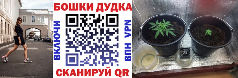 как найти закладки  Чапаевск  Бошки Шишки индика 
